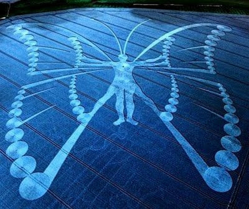 Transformation Le renouveau de l'homme